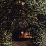 For-rest De Hilkensberg Broekhuizen (Limburg)