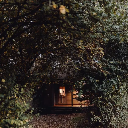 For-rest De Hilkensberg Broekhuizen (Limburg)