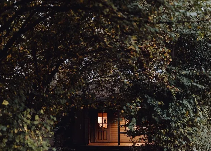 For-rest De Hilkensberg Broekhuizen (Limburg)